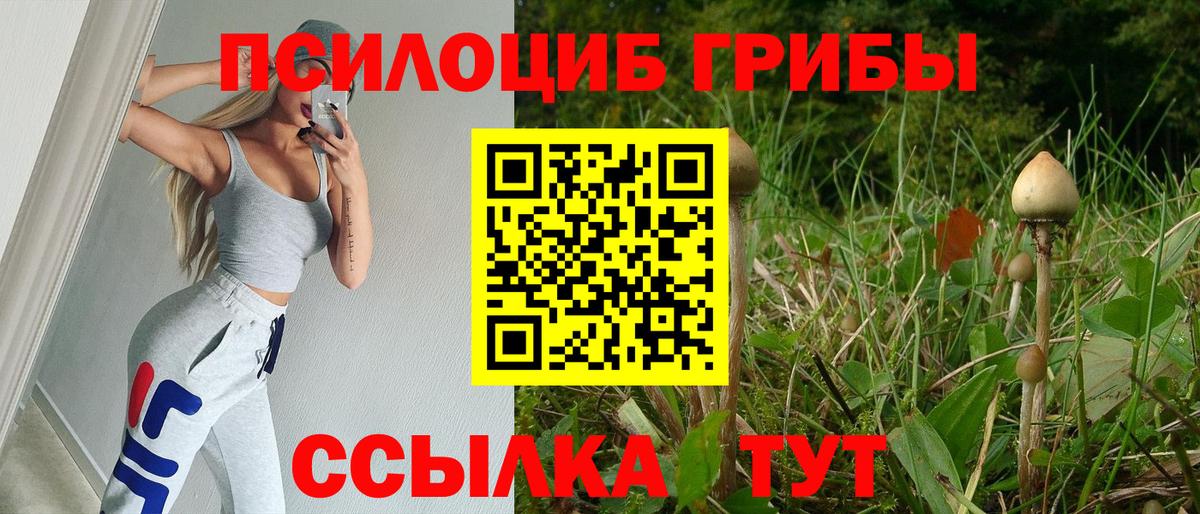 Псилоцибиновые грибы MAGIC MUSHROOMS Еманжелинск